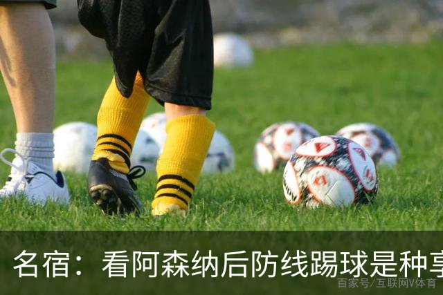 名宿：看阿森纳后防线踢球是种享受